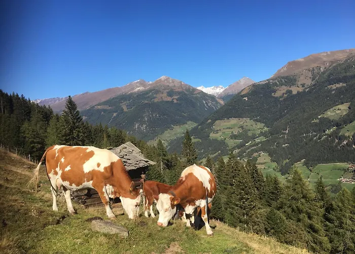 Διαμέρισμα Suntinger