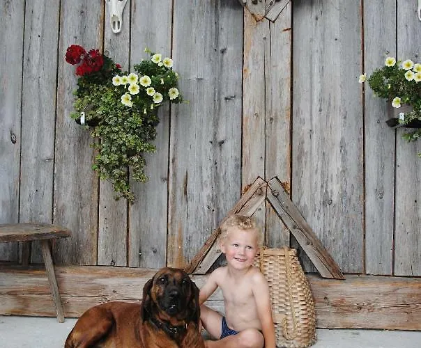 Διαμέρισμα Suntinger Mörtschach